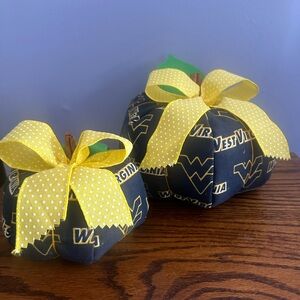 West Virginia pumkins set of 2